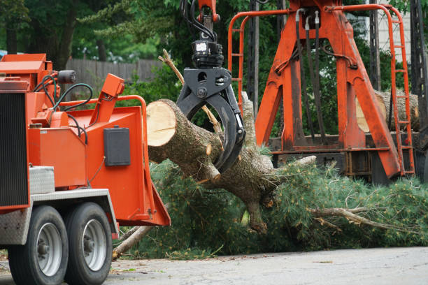 Best Organic Lawn Care Solutions  in Irvington, NY